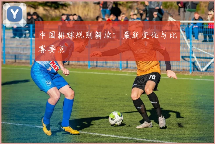 中国排球规则解读：最新变化与比赛要点